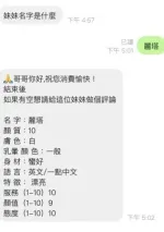 桃園約砲-麗塔