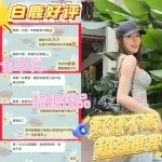 台南約砲-白鹿