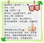台中約砲-菲菲