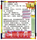 台中約砲-白鹿