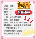 桃園約砲-語喬