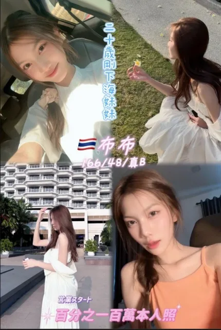 桃園約砲-布布