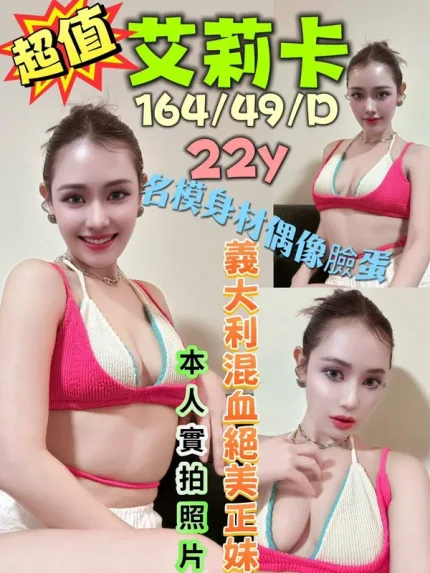 新北約砲-艾莉卡