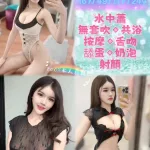 新北約砲-梨羽