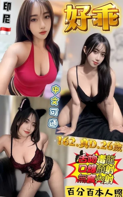 新北約砲-好乖