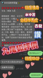 屏東約砲-九尾狐