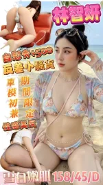 高雄約砲-林智妍