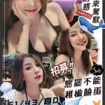 新竹約砲-海豚
