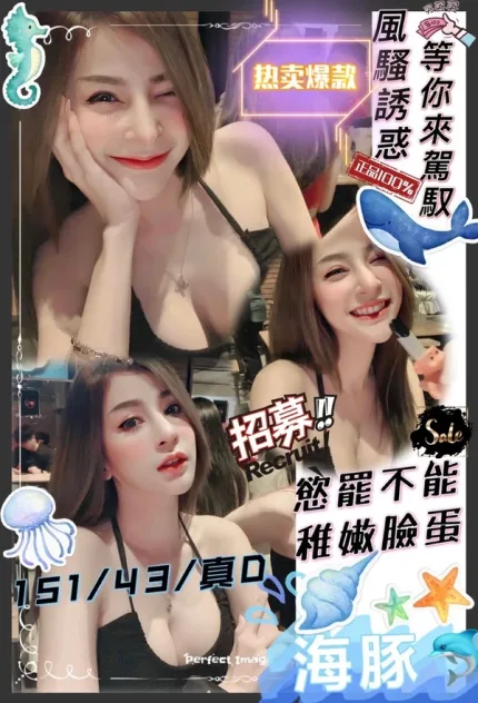 新竹約砲-海豚