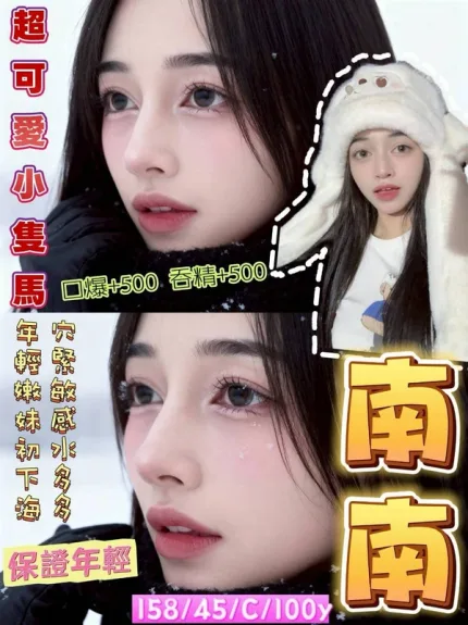 桃園約砲-南南