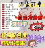 嘉義約砲-牙仙子