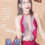 新竹約砲-桑堤