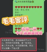 彰化約砲-毛毛