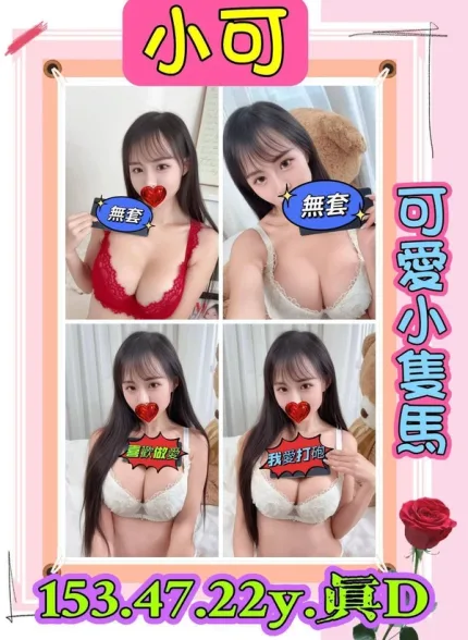 新北約砲-小可