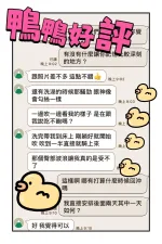 台中約砲-鴨鴨