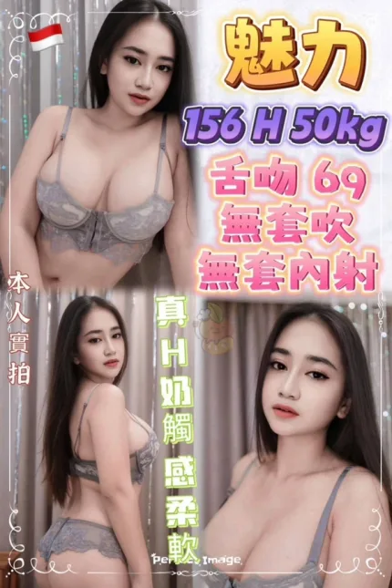 新北約砲-魅力