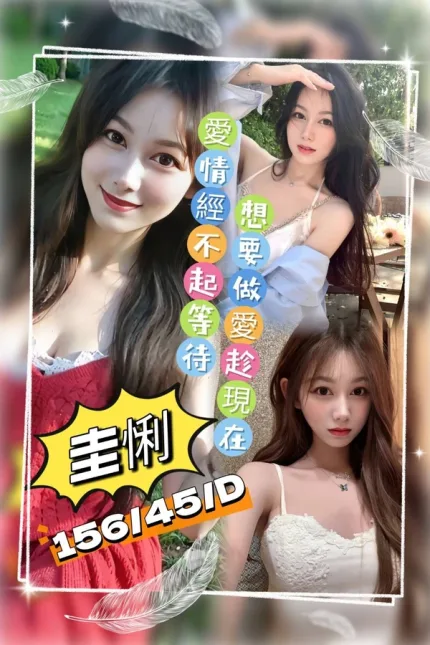 桃園約砲-圭悧