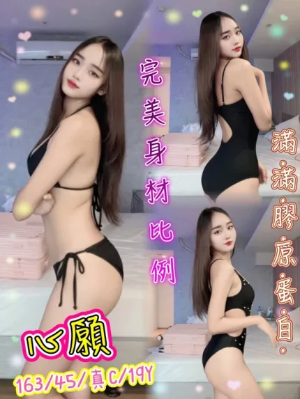 新北約砲-心願