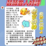 新竹約砲-芸薇