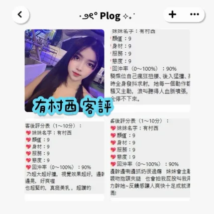 桃園約砲-有村西