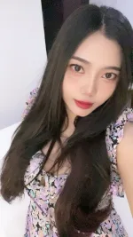 新北約砲-天鵝