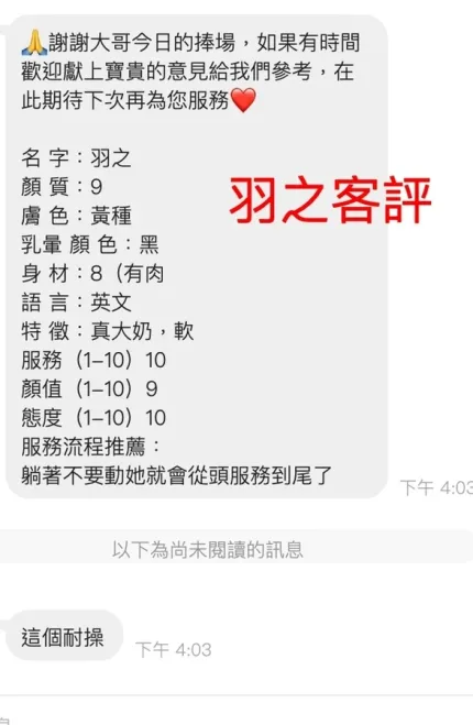 桃園約砲-羽之