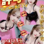 桃園約砲-許可
