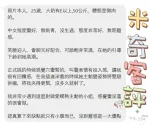 嘉義約砲-米奇