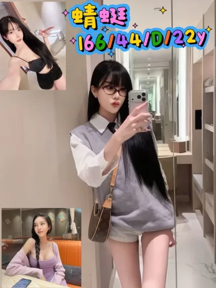 新北約砲-蜻蜓