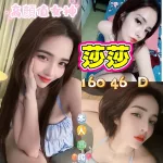 新北約砲-莎莎