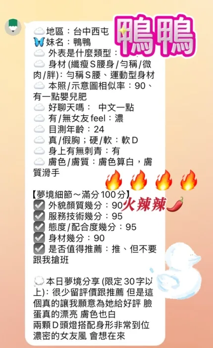 台中約砲-鴨鴨