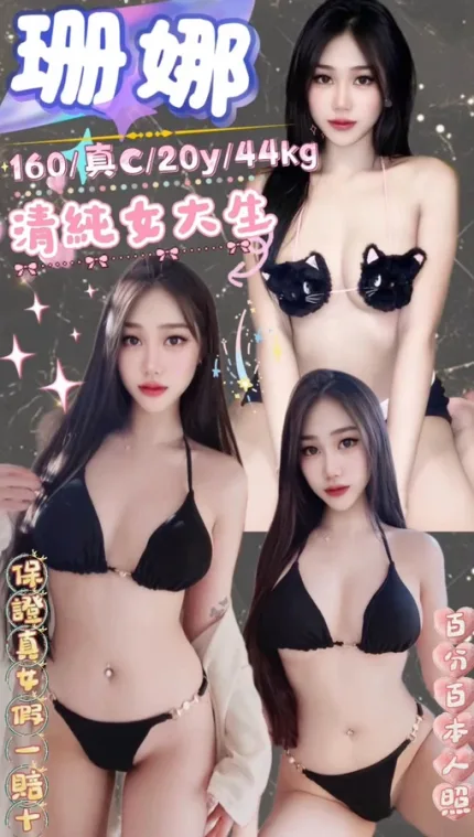 新北約砲-珊娜