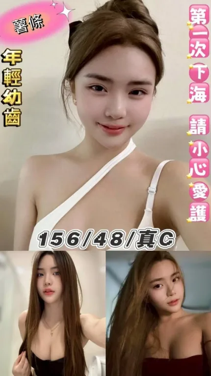 台北約砲-薯條
