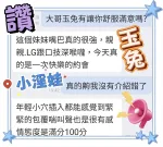 台中約砲-玉兔