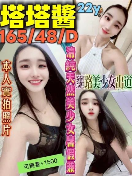 新北約砲-塔塔醬