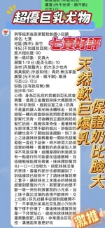 新竹約砲-七寶