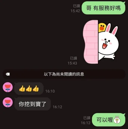 桃園約砲-芯月