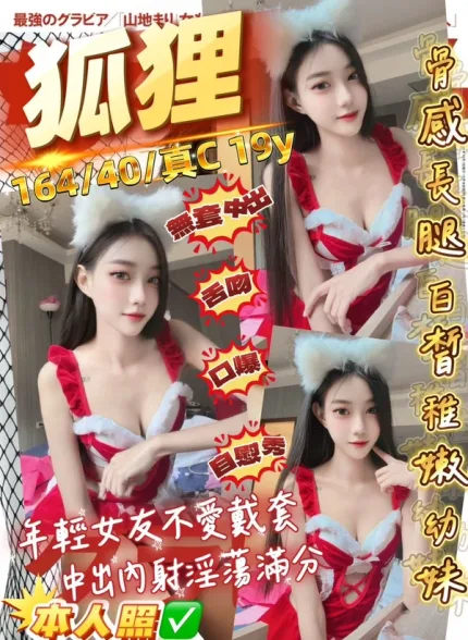 桃園約砲-狐狸