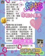 台中約砲-婷婷