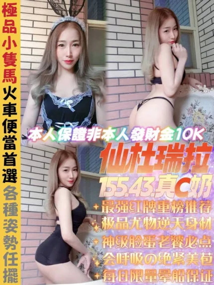 新北約砲-仙杜瑞拉