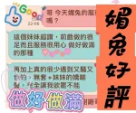 台中約砲-媚兔