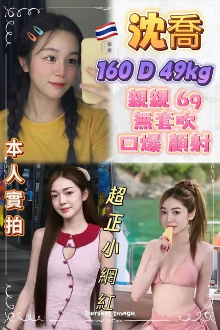 新北約砲-沈喬