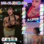 桃園約砲-藍寶