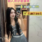 台南約砲-蔥油餅