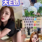 桃園約砲-林智玲
