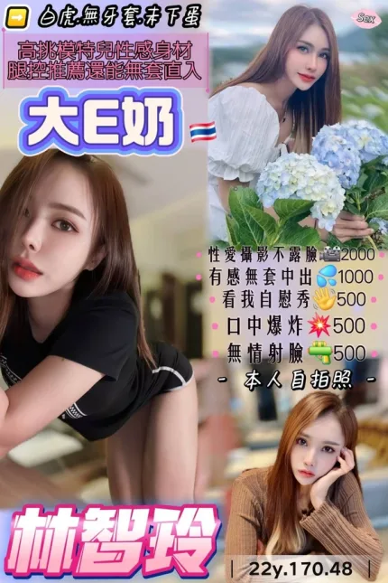 桃園約砲-林智玲