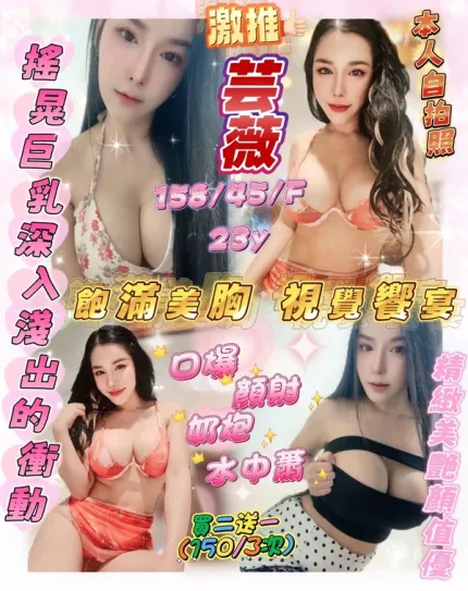 新竹約砲-芸薇