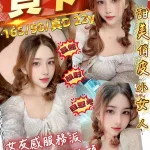 桃園約砲-貝卡
