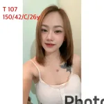 嘉義約砲-T107