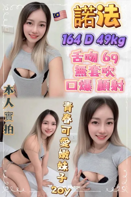 新北約砲-諾法